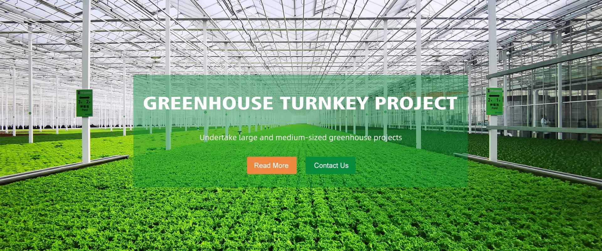 Китай Venlo Glass Greenhouse Производител