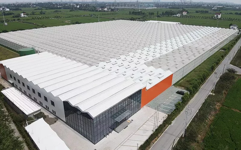 Предимства на оранжерията на Multispan Glass